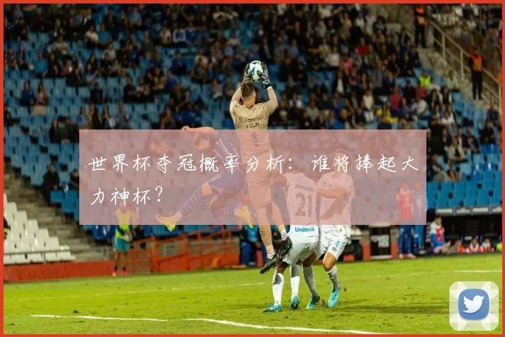 世界杯夺冠概率分析:谁将捧起大力神杯?