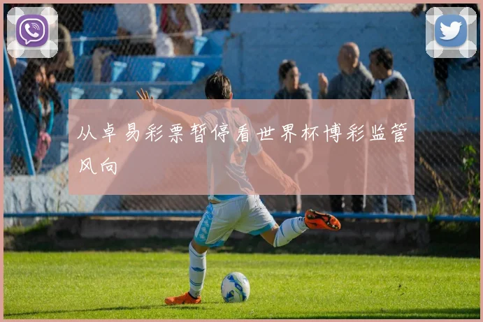 从卓易彩票暂停看世界杯博彩监管风向