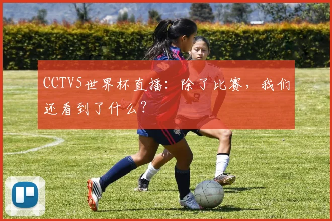 CCTV5世界杯直播：除了比赛，我们还看到了什么？