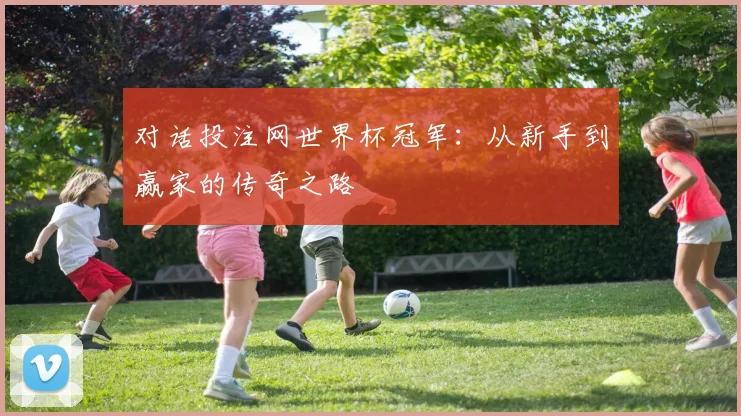对话投注网世界杯冠军：从新手到赢家的传奇之路